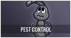 Best Pest Control Services & Treatment Connecticut