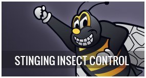Stinging Insect Control & Extermination Connecticut