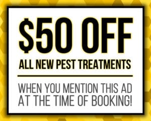 50$ Off All New Pest Treatments